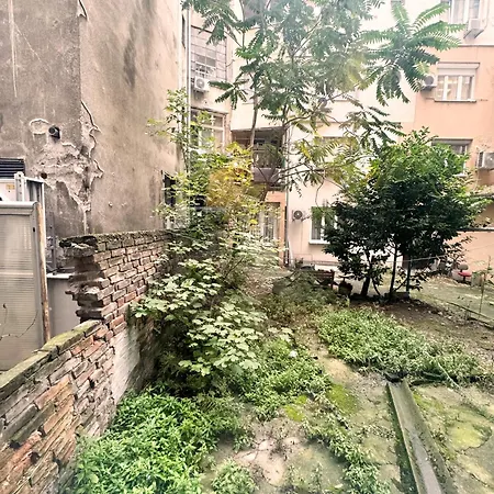 City Cozy Center Daire Belgrad